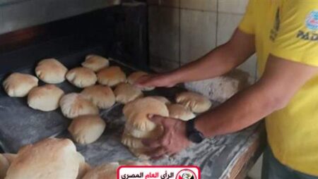 ضبط 11 مخبز بلدي وتلاعب في الوزن وعجين ملوث مخالف بالشرقية 1