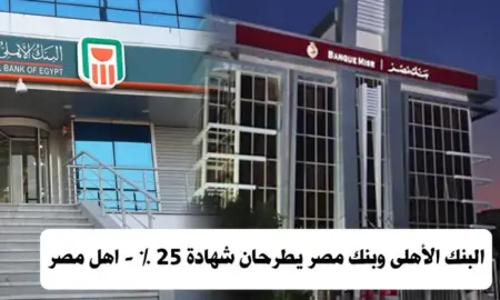 البنك الأهلى وبنك مصر يطرحان شهادات 25% 12