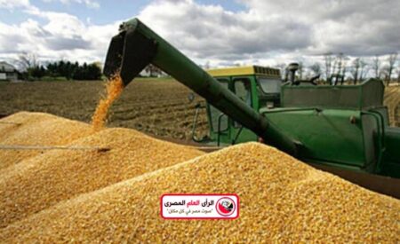 ينخفض إنتاج محاصيل الحبوب في روسيا، بواقع 17% على أساس سنوي خلال العام الجاري 21