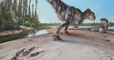 اكتشاف بصمة مخلوق عملاق على ساحل الديناصورات فى المملكة المتحدة.. صور 5