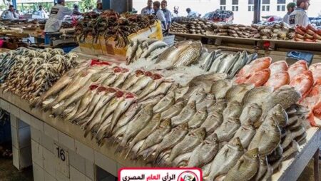 التعرف على اسعار السمك بانواعه اليوم 21