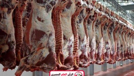 التعرف على اسعار اللحوم اليوم 5