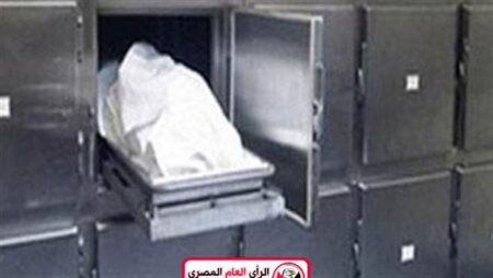 شاب يقتل شقيقته بسبب خلاف على شقة في بنها 4