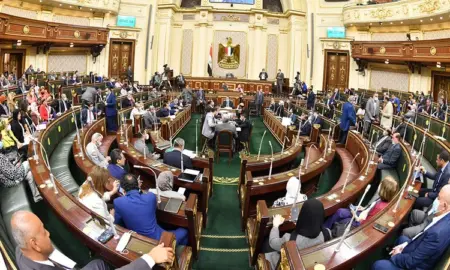 مجلس النواب:نشر تعديلات قانون منح بعض التيسيرات للمصريين المقيمين في الخارج 19