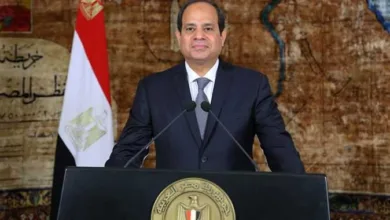 كلمة الرئيس عبد الفتاح السيسي فى الذكري الـ 41 لتحرير سيناء 3