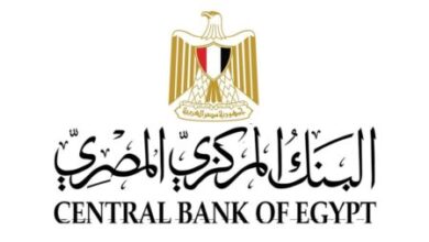 البنك المركزي المصري ...إطلاق العديد من المبادرات و الخدمات المالية 2023 20