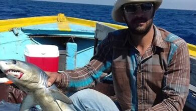 معهد علوم البحار بالإسكندرية  ظهور سمك القرش الصغير بالمكس  لايمثل أي خطوره علي المنطقة 1