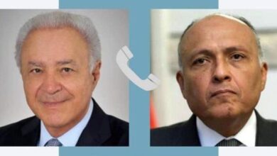 وزير الخارجية يتلقى اتصالًا من وزير اليونان الجديد.. ويبحثان ملفات التعاون بين مصر واليونان 19
