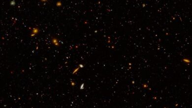 مشاهدة نشوء الكون من خلال تلسكوب جيمس ويب الفضائي 10