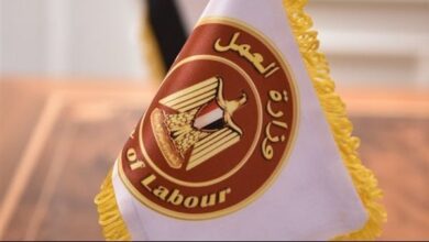 وزارة العمل: الإعلان عن 52 وظيفة فى 7 شركات لذوى الهمم فى الإسكندرية 9