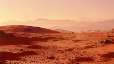 3 أغسطس...علبة سجائر كليوباترا مصري على سطح كوكب المريخ 1