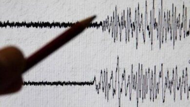 تسجيل زلزال بقوة 4.4 درجة في جورجيا ولا أنباء عن ضحايا 1
