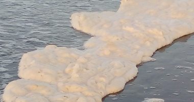وزارة البيئة تصرح عن ظاهرة زبد البحر ببور سعيد: ليست خطرا وتحدث فى كل بحار العالم 22