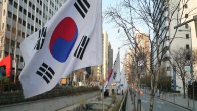 كوريا الجنوبية: تدمير طائرة مقاتلة جنوب البلاد ونجاة الطيار 5