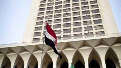 مصر تدين الهجوم الإرهابي على قوات الأمن في غرب النيجر 22