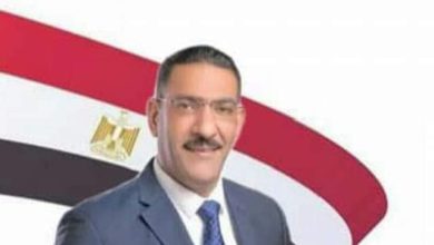 "سامح الشيمي " مصر دولة قوية وقادرة علي الصمود