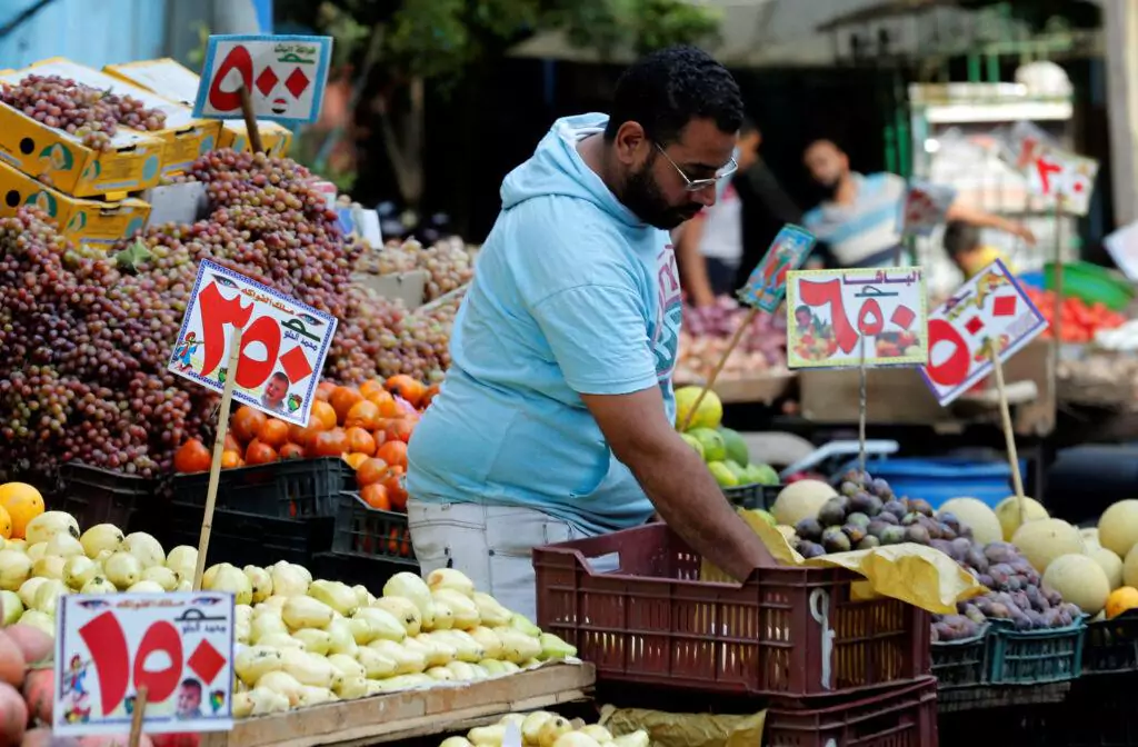 مصر تتخذ بعض الإجراءات التي ستساعد في خفض الأسعار 1