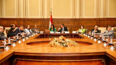 وزيرة التعاون الدولي تلتقي بأعضاء لجنة الشئون الخارجية والعربية والأفريقية بمجلس الشيوخ 6