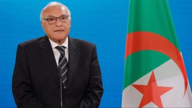 الجزائر وبريطانيا تبحثان التطورات الخطيرة للقضية الفلسطينية 22