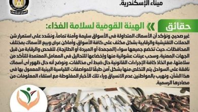 شائعة: تداول أسماك نافقة بالأسواق بعد ظهورها على سواحل ميناء الإسكندرية 48