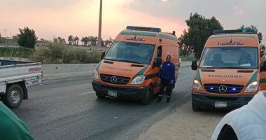 إصابة شخص صدمته سيارة خلال عبوره لطريق إسكندرية الصحراوى 19