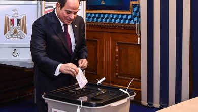 فوز الرئيس السيسي بالانتخابات الرئاسية يدعم ركائز التنمية بمصر 19