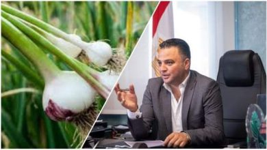 الدكتور محمد صبحي بطاطا: البصل من المحاصيل الاقتصادية المربحة ونبدأ بـ 100 فدان 20