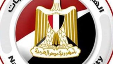 الهيئة الوطنية للانتخابات تعلن الانتهاء من مرحلة تصويت المصريين في الخارج بالانتخابات الرئاسية 2024 19