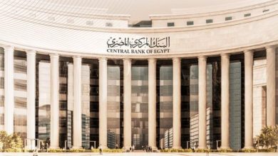 البنك المركزي المصري: القطاع المصرفي يواصل جهوده لتيسير الخدمات والمنتجات المصرفية لذوي الهمم 5