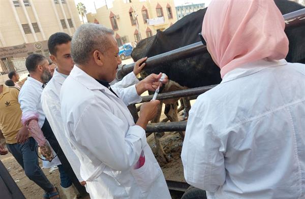 مديرية الطب البيطرى بمحافظة الجيزة: ضبط 4030 لحوم غير صالحة للاستهلاك الآدمى 1