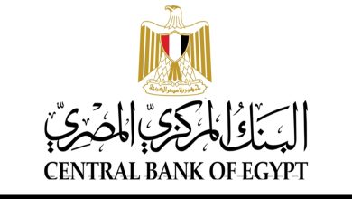 شهادة دولية جديدة تؤكد امتثال وتطبيق البنك المركزي المصري لأفضل معايير الأمن السيبراني 28