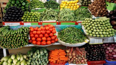 استقرار أسعار الخضراوات فى في الأسواق اليوم الأربعاء 4