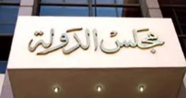 القضاء الإدارى يرفض إلغاء استبعاد هانى العتال من انتخابات نقابة المهندسين 14