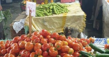 تشهد أسعار الخضراوات استقرار فى الأسواق.. كيلو الطماطم من 4.5 إلى 7.5 جنيه 11
