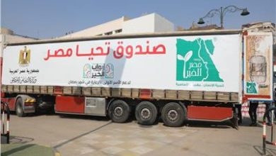 محافظ المنوفية: قافلة أبواب الخير التابعة لصندوق "تحيا مصر" توزيع 4800 كرتونة مواد غذائية على المستحقين 16