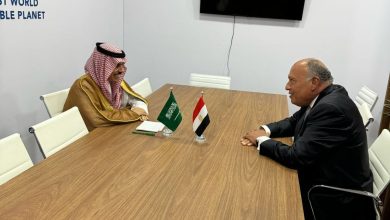 وزير الخارجية سامح شكري يلتقي وزير خارجية المملكة العربية السعودية 3