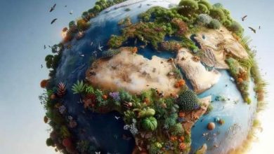 تحت شعار "الكوكب مقابل البلاستيك": مصر تشارك العالم الاحتفال بيوم الأرض2024 90