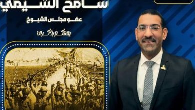 "الشيمي "يشيد بالجهود التي تبذلها الرئيس عبد الفتاح السيسي والقوات المسلحة للحفاظ على الأراضي المصرية